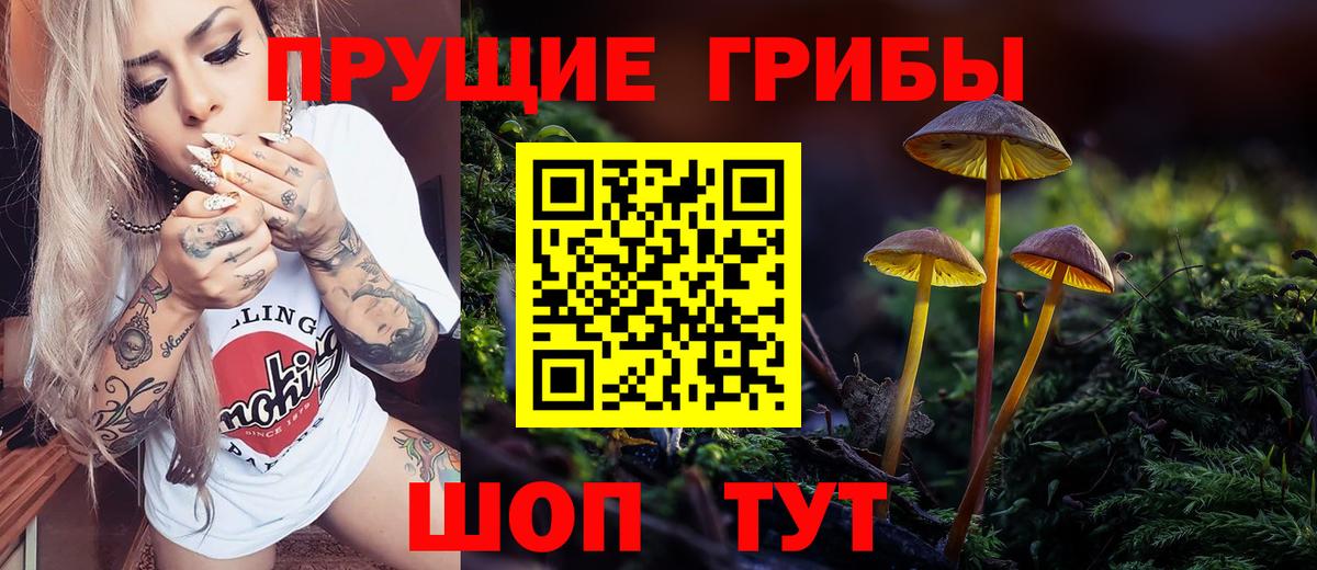 Ялуторовск  Галлюциногенные грибы Psilocybine cubensis  как найти закладки  Вход с VPN 