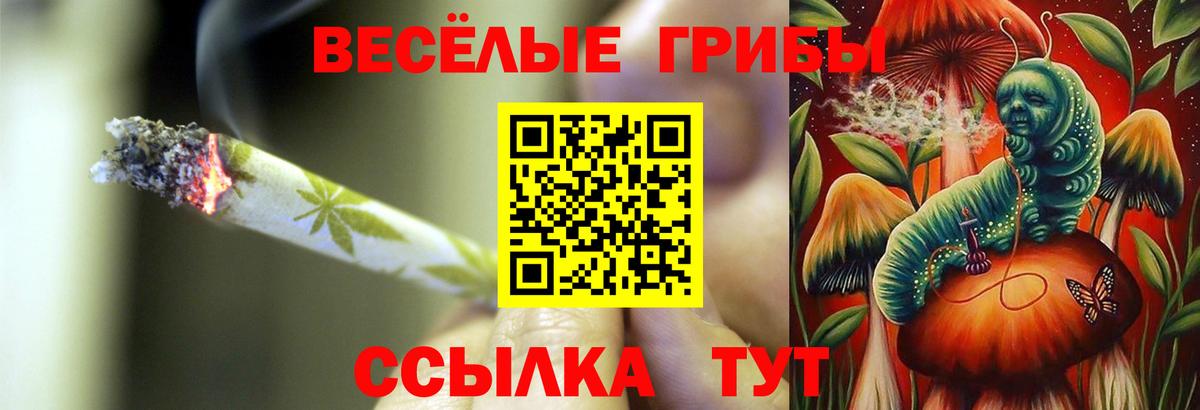 Галлюциногенные грибы мухоморы Ялуторовск
